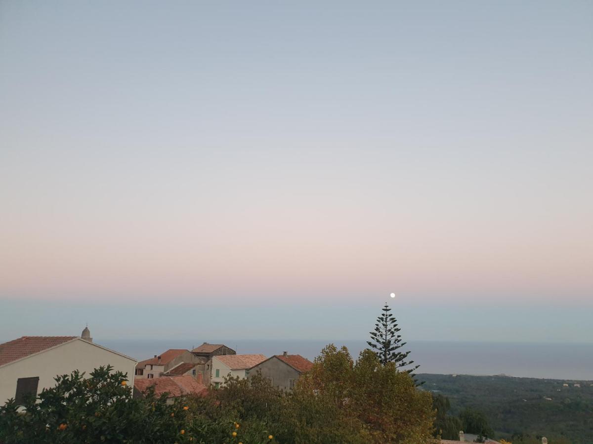 Chambres D'Hote A Caserella, Maison De Village Renovee Avec Vue Sur Mer Valle-di-Campoloro Buitenkant foto