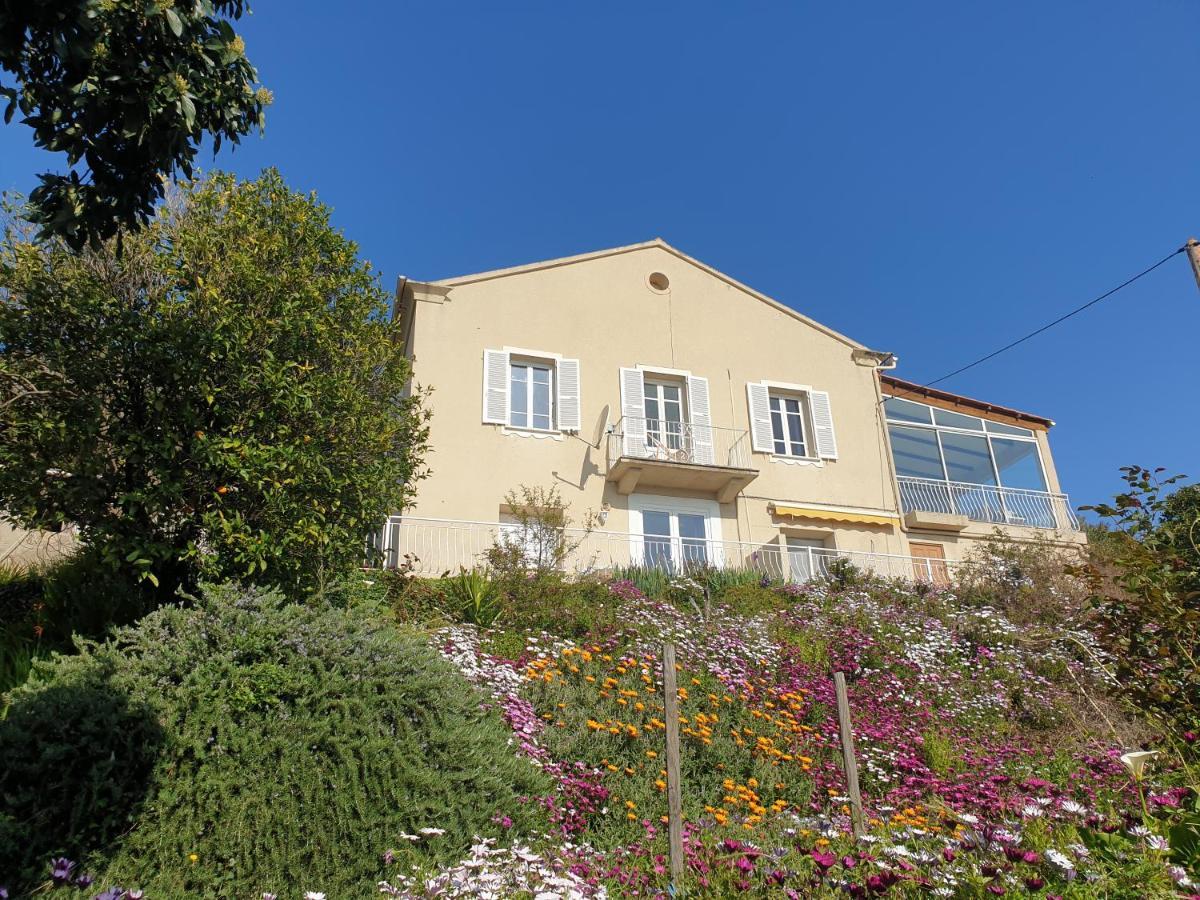 Chambres D'Hote A Caserella, Maison De Village Renovee Avec Vue Sur Mer Valle-di-Campoloro Buitenkant foto